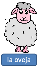 sheep